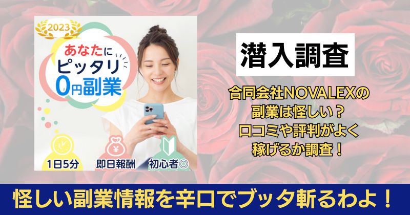 合同会社NOVALEXの副業は怪しい?口コミや評判がよく稼げるか調査!